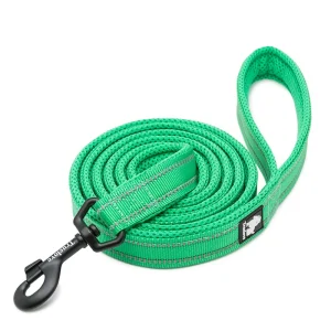 Dog Leash with Padded Handle