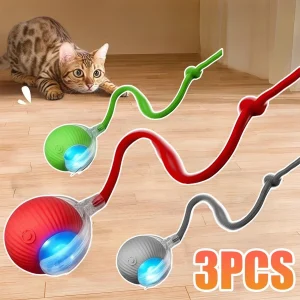 Cat Interactive Ball Toy