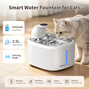 Automatic Pet Water Dispenser