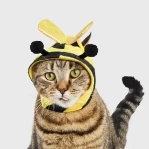 Bee Cat Costume