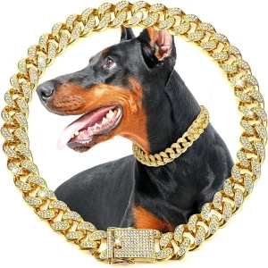 Gold Dog Chain Collar