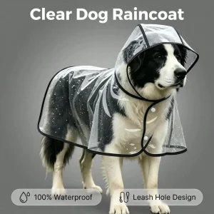 Dog Raincoat